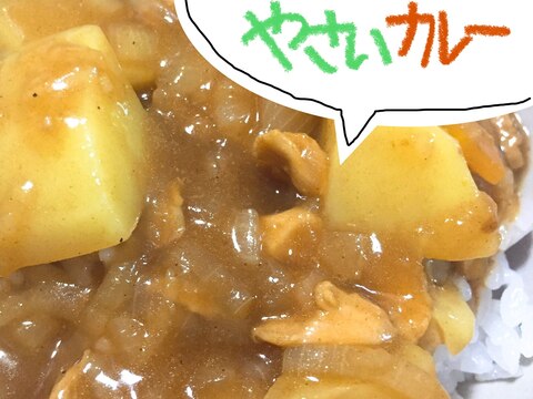 鶏がらを使って作った野菜カレー